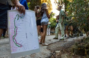 35524858_254975388391159_1086443640022106112_o