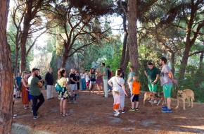 36088109_254976608391037_1150326047279939584_o