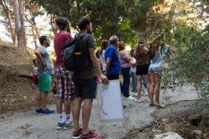 36037152_254976021724429_4805912608580304896_o