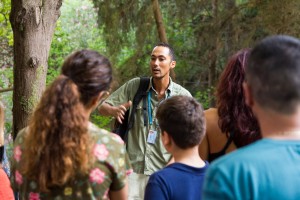 36177138_254975078391190_7325565446340476928_o