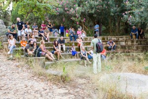 36200255_254975528391145_3962014533496602624_o