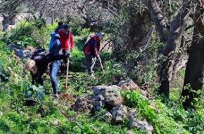 275405504_285926420350742_9097749279198252102_n