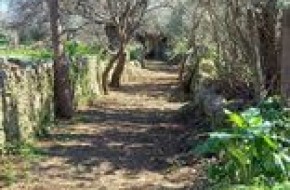 275461881_1882859568566918_6431664187716070313_n