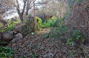 275607214_929750747723921_943989699914342756_n