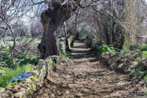 275399685_1323064228166855_7110738934264086487_n (1)