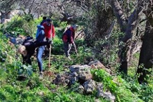 275405504_285926420350742_9097749279198252102_n