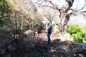 275582874_1976390189207740_5349982980957652461_n