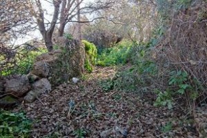 275607214_929750747723921_943989699914342756_n